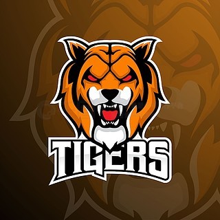 TSM